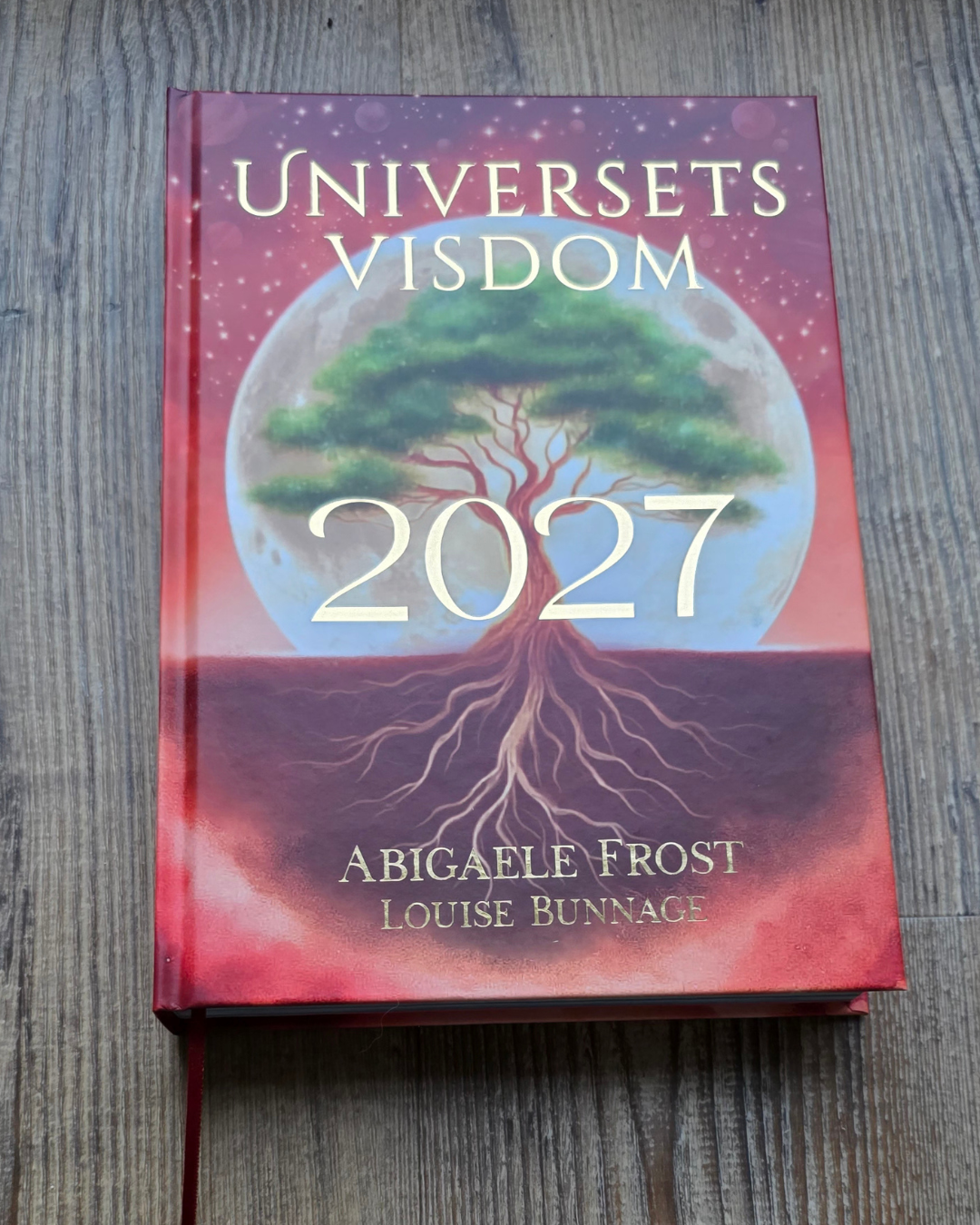 Forudbestilling - Universets visdom 2027